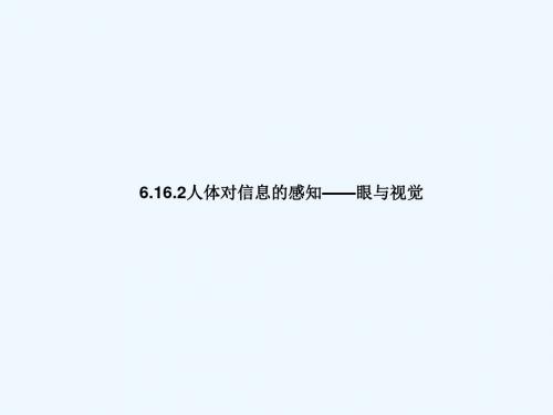 八年级生物上册 6.16.2人体对信息的感知(眼与视觉)1 (新版)苏科版