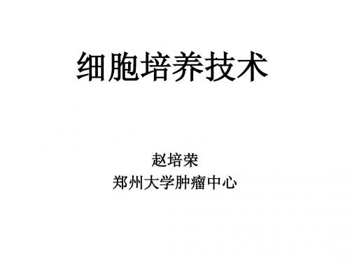 细胞培养技术
