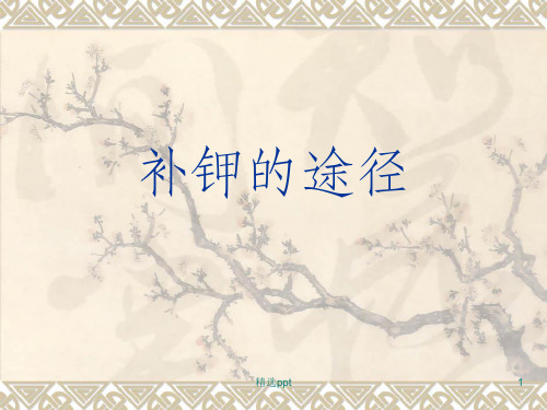《补钾的途径》PPT课件