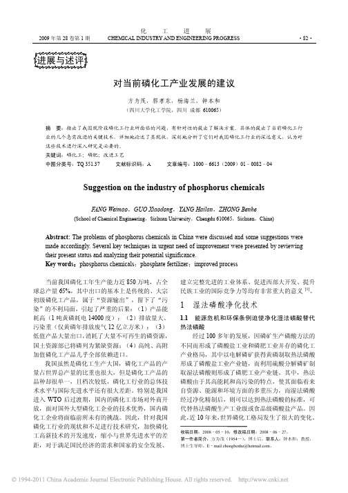 对当前磷化工产业发展的建议