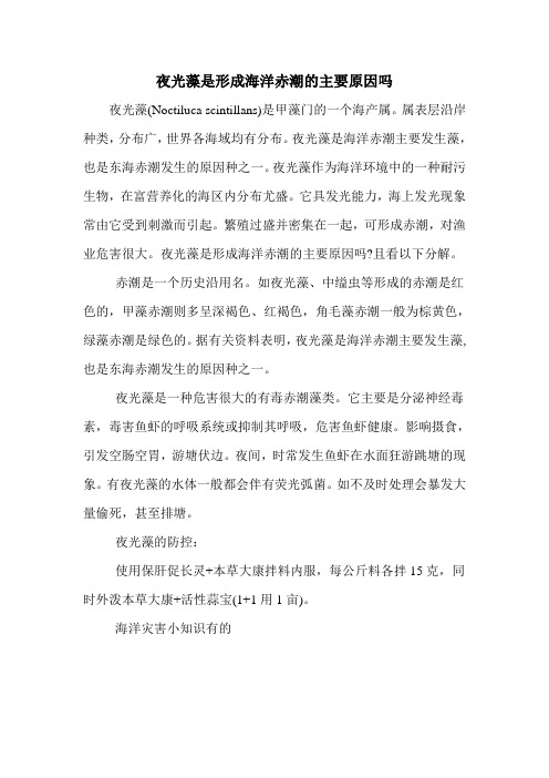 夜光藻是形成海洋赤潮的主要原因吗