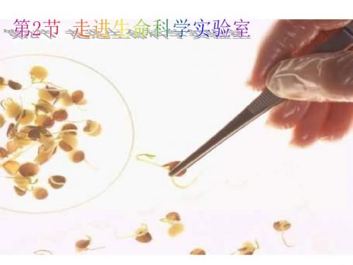 高一生物走进生命科学实验室(中学课件201908)
