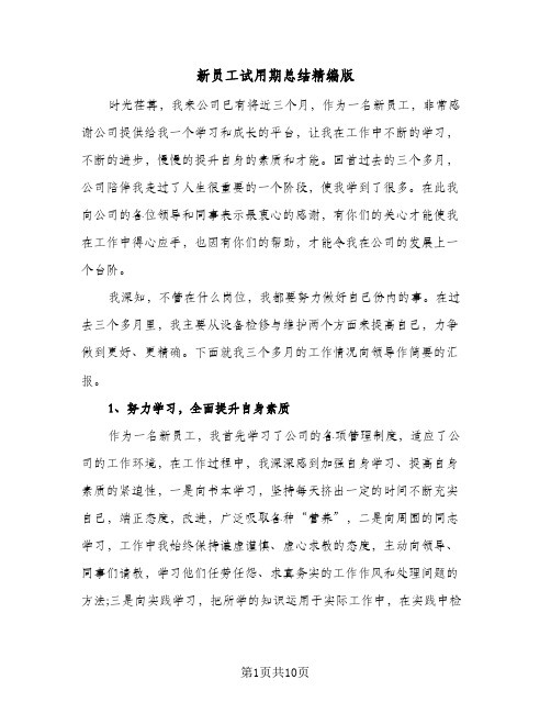 新员工试用期总结精编版（4篇）