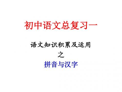 苏教版 九年级语文初三复习 语音与汉字 语音与汉字课件