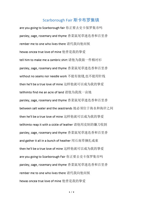 沙拉布莱曼-斯卡保罗集市  歌词(带中文翻译)