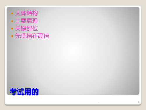 病理学实验复习切片ppt演示课件