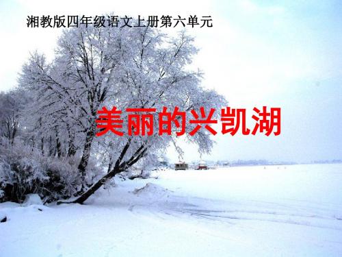 22《美丽的兴凯湖》课件(湘教版四年级上册语文课件)
