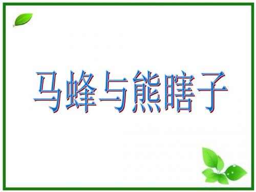 新编文档-四年级下册语文课件-11.马蜂与熊瞎子  l   西师大版 (共17张PPT)-精品文档