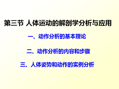 第三章 运动系统(6)精品PPT课件