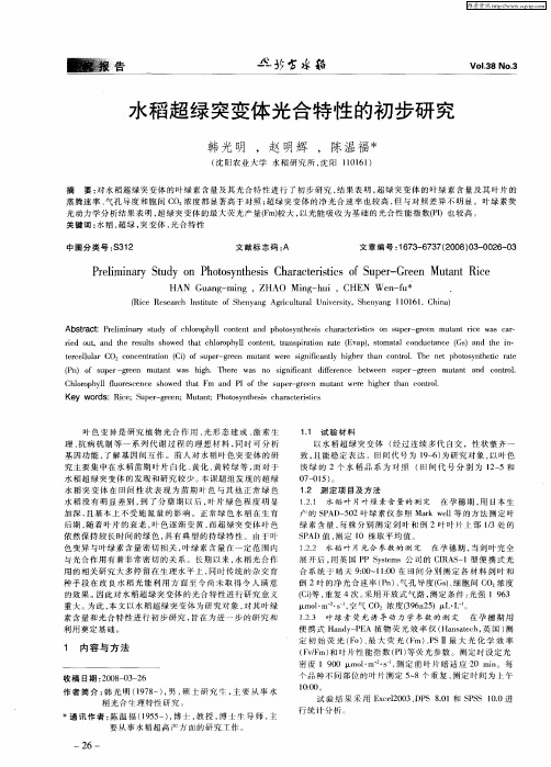 水稻超绿突变体光合特性的初步研究