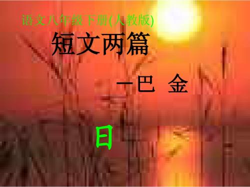 语文八年级下册(人教版) 短文两篇 日 巴金 PPT课件