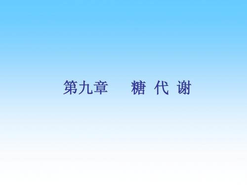 第九章 糖代谢