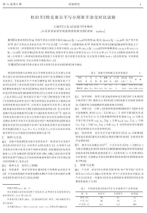 杜泊羊、特克塞尔羊与小尾寒羊杂交对比试验