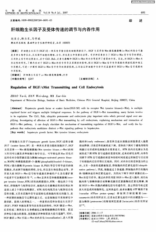 肝细胞生长因子及受体传递的调节与内吞作用