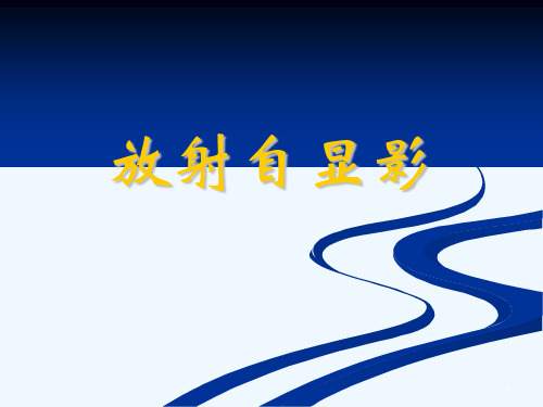 放射自显影教学课件