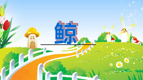 小学五年级多媒体语文：鲸 PPT课件 比赛一等奖
