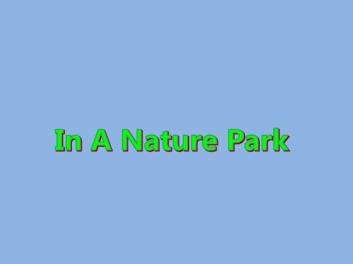 人教PEP版 五年级英语 上册 2unit6_IN_A_NATURE_PARK_第二课时