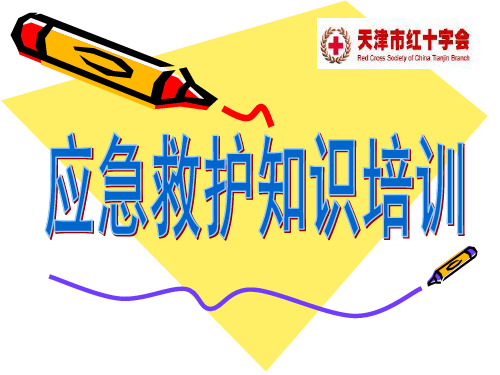 红会应急救护培训ppt课件