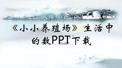 《小小养殖场》生活中的数PPT下载