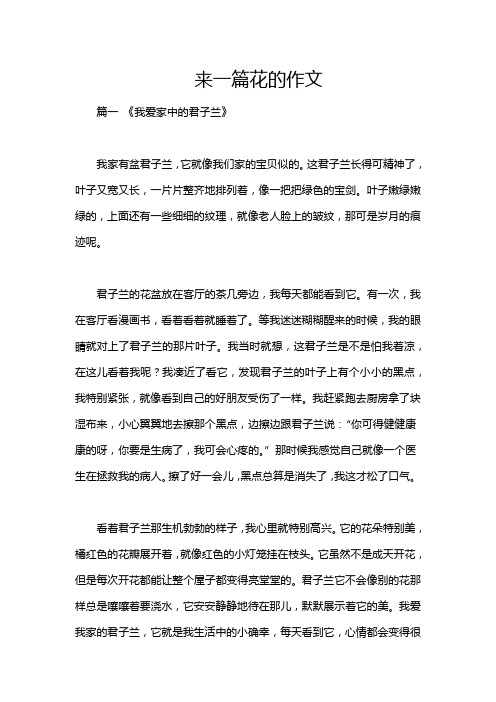 来一篇花的作文