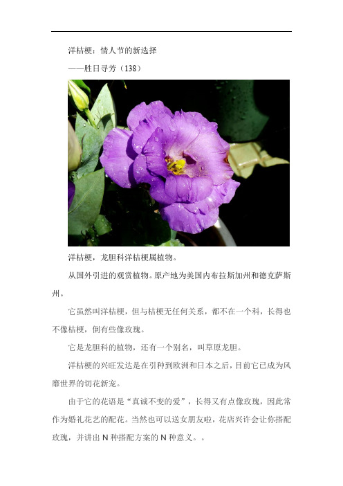 洋桔梗——胜日寻芳(138)有图