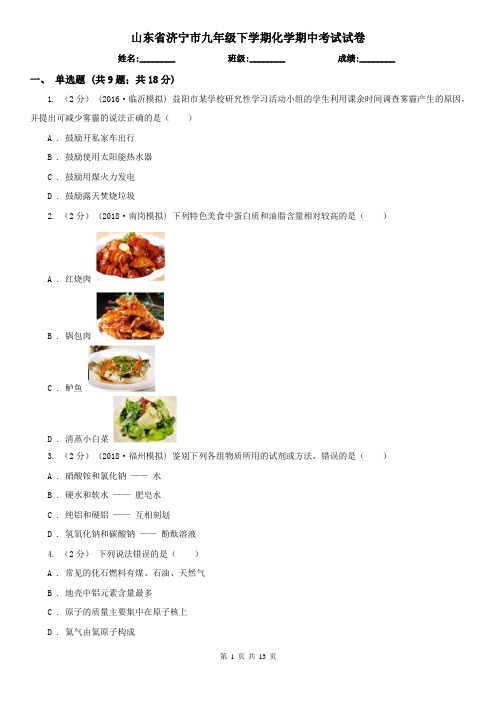 山东省济宁市九年级下学期化学期中考试试卷