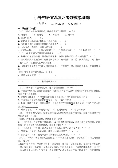 小升初语文总复习句子专项模拟训练含答案