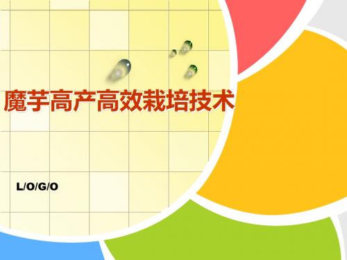 魔芋高产高效整套栽培技术