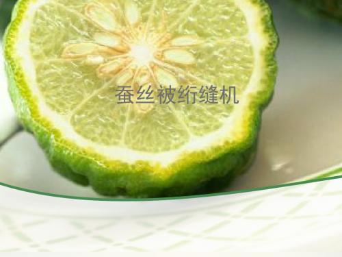 蚕丝被绗缝机