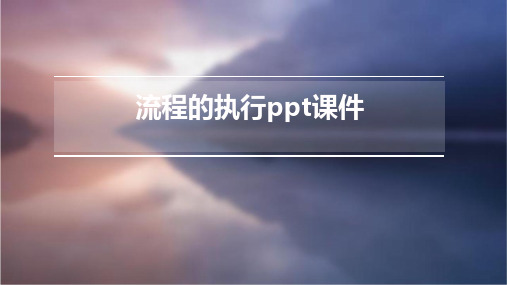 流程的执行PPT课件