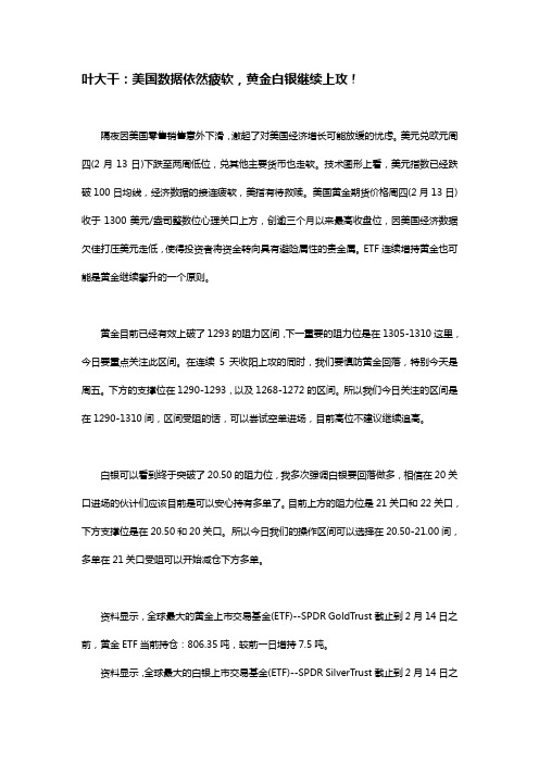 2014年2月14叶大干(贵金属)+叶大干：美国数据依然疲软,黄金白银继续上攻!