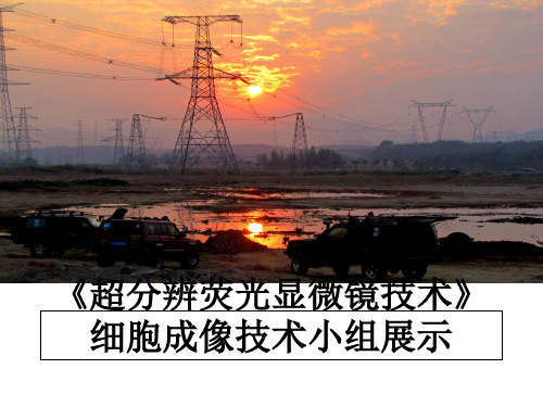 最新《超分辨荧光显微镜技术》细胞成像技术小组展示ppt课件