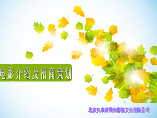 广告植入方案