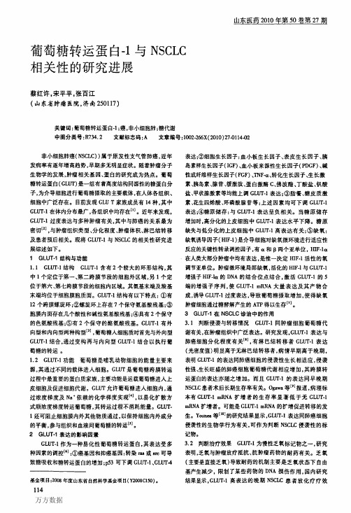 葡萄糖转运蛋白-1与NSCLC相关性的研究进展