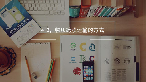 4-3,物质跨膜运输的方式35页