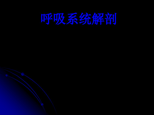 肺部解剖学
