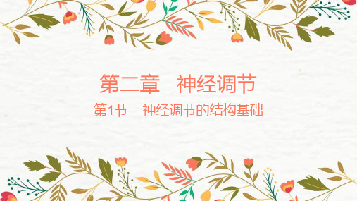 【新教材】2.1神经调节的结构基础 课件 人教版(2019)高中生物选择性必修一