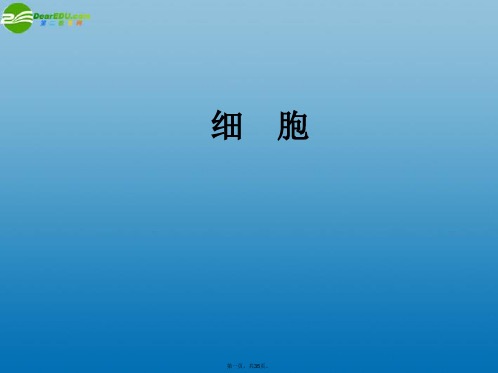七年级科学上册 2.2 细胞课件1 浙教版