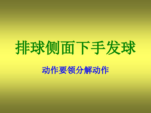 侧面下手发球 (4)