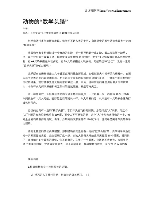 动物的“数学头脑”