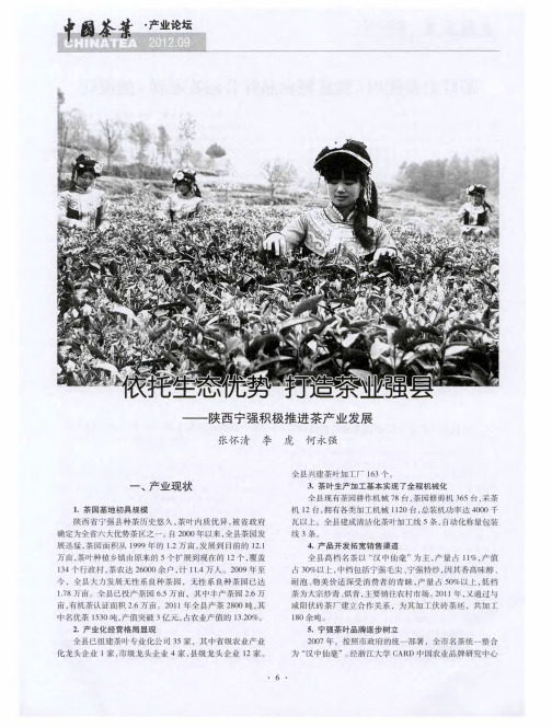 依托生态优势 打造茶业强县——陕西宁强积极推进茶产业发展