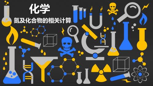 氮其化合物计算综合 详细版