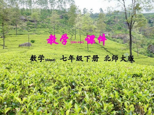 七年级数学下册 第三章 变量之间的关系 2 用关系式表示的变量间关系教学课件