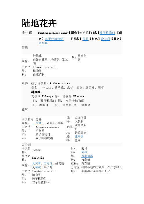 吉林常见陆地花卉