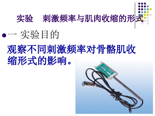 刺激频率与肌肉收缩的形式