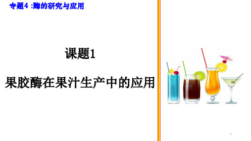 高考真题—专题4 酶的研究与应用