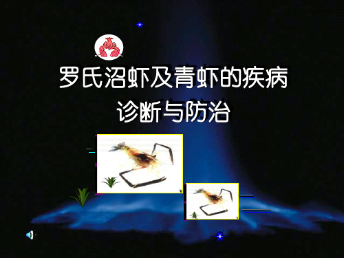 罗氏沼虾及青虾的疾病诊断与防治.