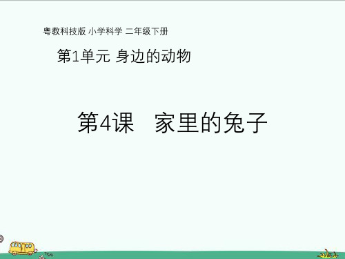 粤教粤科版科学二年级下册：第4课《家里的兔子》教学课件