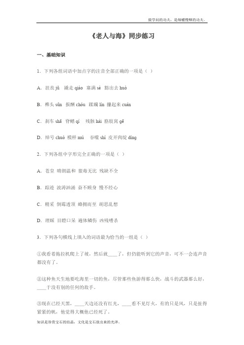 人教版高中语文必修三老人与海同步练习新.