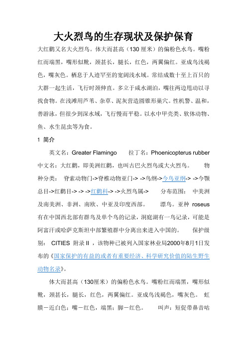 大火烈鸟的生存现状及保护保育